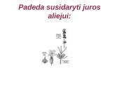 Druskos rūgštis 18 puslapis