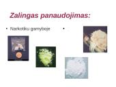 Druskos rūgštis 19 puslapis