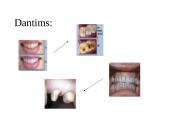 Druskos rūgštis 9 puslapis