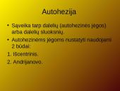 Dulkių ir aerozolių savybės, jų klasifikavimas ir nustatymas 9 puslapis