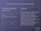 Duomenų srautų schemos ir jų pritaikymas informacinių sistemų analizėje 13 puslapis
