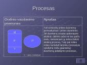 Duomenų srautų schemos ir jų pritaikymas informacinių sistemų analizėje 14 puslapis