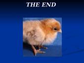 Easter in Lithuania 8 puslapis