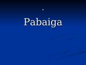 Eilės pasienyje: 2006 metų pabaigoje 10 puslapis