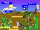 Ekologijos mokslas 5 puslapis
