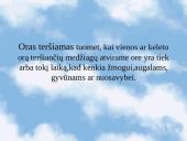 Ekologinės problemos 2 puslapis