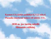 Ekologinės problemos 11 puslapis