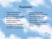 Ekologinės problemos 12 puslapis