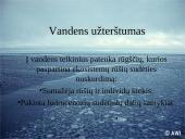 Ekologinės problemos 13 puslapis