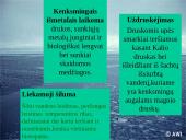 Ekologinės problemos 15 puslapis