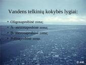 Ekologinės problemos 16 puslapis