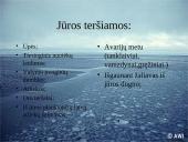 Ekologinės problemos 17 puslapis