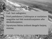 Ekologinės problemos 20 puslapis