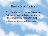 Ekologinės problemos 3 puslapis