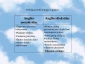 Ekologinės problemos 6 puslapis