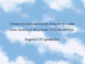 Ekologinės problemos 7 puslapis