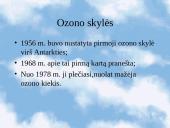 Ekologinės problemos 8 puslapis