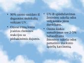 Ekologinės problemos 9 puslapis