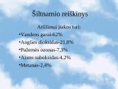 Ekologinės problemos 10 puslapis