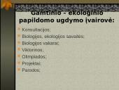 Ekologinis-gamtinis ugdymas: saviraiška ir polinkių plėtotė 13 puslapis