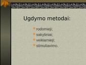 Ekologinis-gamtinis ugdymas: saviraiška ir polinkių plėtotė 5 puslapis