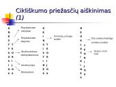 Ekonomikos nepastovumas, cikliniai svyravimai 12 puslapis