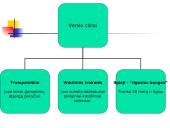 Ekonomikos nepastovumas, cikliniai svyravimai 3 puslapis