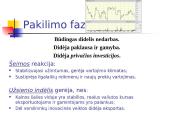 Ekonomikos nepastovumas, cikliniai svyravimai 8 puslapis