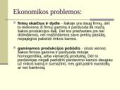 Ekonomikos problemos ir tikslai 4 puslapis