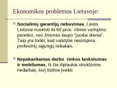 Ekonomikos problemos ir tikslai 6 puslapis