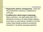 Ekonomikos problemos ir tikslai 7 puslapis