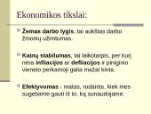 Ekonomikos problemos ir tikslai 8 puslapis