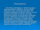 Ekosistema ekologijoje 2 puslapis