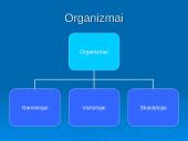 Ekosistema ekologijoje 5 puslapis