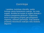 Ekosistema ekologijoje 6 puslapis