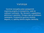 Ekosistema ekologijoje 7 puslapis