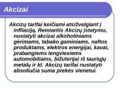 Elastingumas 13 puslapis