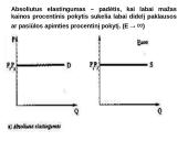 Elastingumas ir jo tipai 2 puslapis