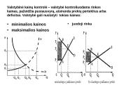 Elastingumas ir jo tipai 11 puslapis