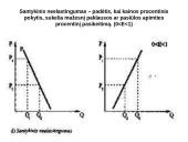 Elastingumas ir jo tipai 4 puslapis