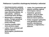 Elastingumas ir jo tipai 7 puslapis