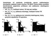 Elastingumas ir jo tipai 8 puslapis