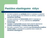 Elastingumo teorijos principai 11 puslapis