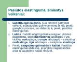 Elastingumo teorijos principai 12 puslapis