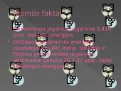 Elektrinės. Klaipėdos geoterminė elektrinė 15 puslapis