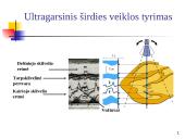 Elektrokardiografija (EKG) 2 puslapis