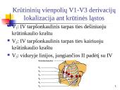Elektrokardiografija (EKG) 11 puslapis