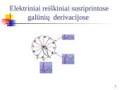Elektrokardiografija (EKG) 14 puslapis