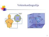 Elektrokardiografija (EKG) 15 puslapis