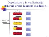 Elektrokardiografija (EKG) 3 puslapis